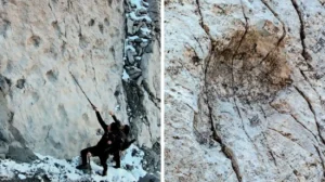 Thousands of Dinosaur Footprints Discovered in Remote Italian Alps